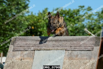 IMG_0790.jpg