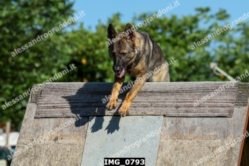 IMG_0793.jpg