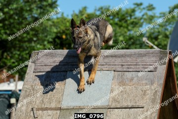IMG_0796.jpg