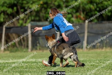 IMG_0830.jpg