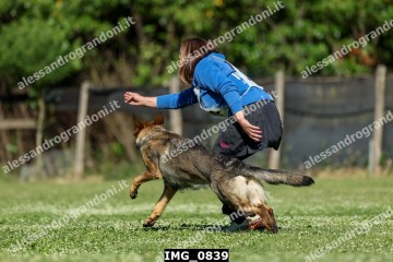 IMG_0839.jpg