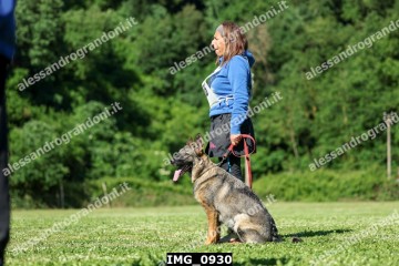 IMG_0930.jpg