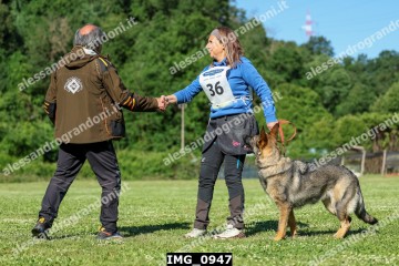 IMG_0947.jpg