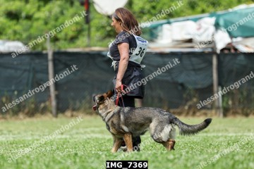 IMG_7369.jpg