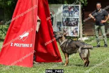 IMG_7403.jpg
