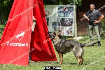 IMG_7406.jpg