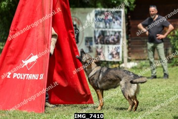 IMG_7410.jpg