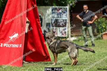 IMG_7416.jpg