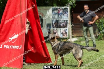 IMG_7438.jpg
