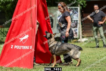 IMG_7451.jpg
