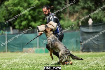 IMG_7470.jpg