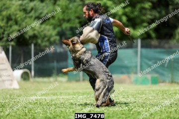 IMG_7478.jpg