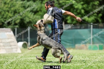 IMG_7481.jpg