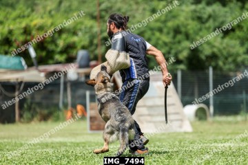 IMG_7494.jpg