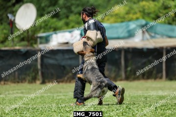 IMG_7501.jpg