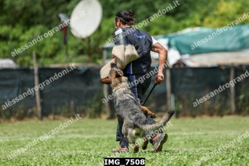 IMG_7508.jpg