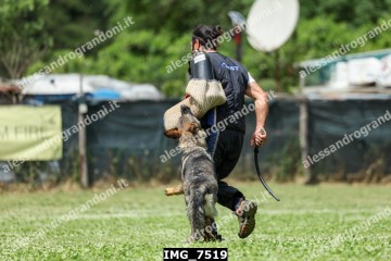 IMG_7519.jpg