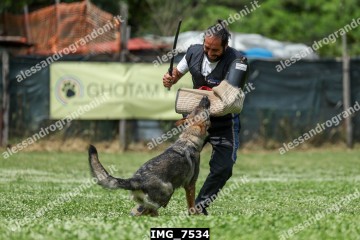 IMG_7534.jpg