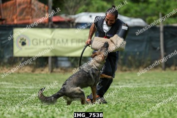 IMG_7538.jpg