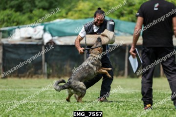 IMG_7557.jpg