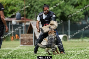 IMG_7571.jpg