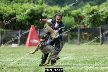 IMG_7622.jpg