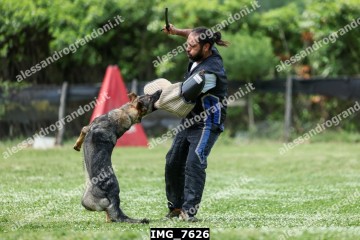 IMG_7626.jpg