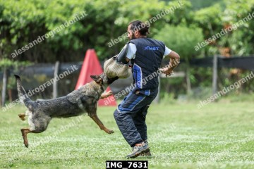 IMG_7631.jpg