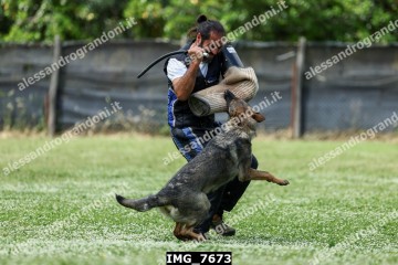 IMG_7673.jpg