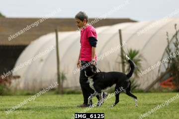 IMG_6125.jpg