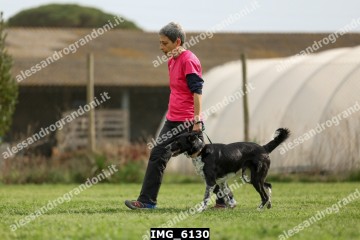 IMG_6130.jpg