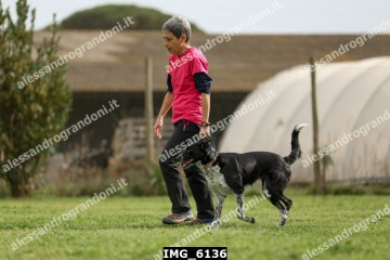 IMG_6136.jpg
