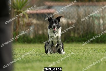 IMG_6169.jpg