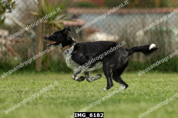 IMG_6182.jpg