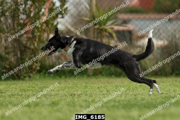 IMG_6185.jpg