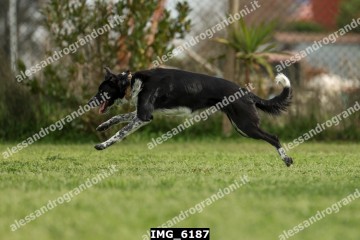 IMG_6187.jpg