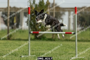IMG_6217.jpg