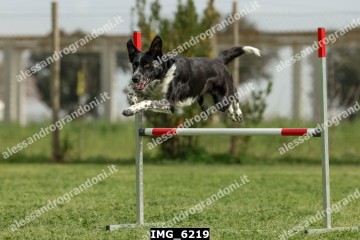 IMG_6219.jpg