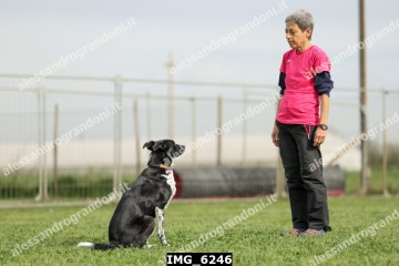 IMG_6246.jpg