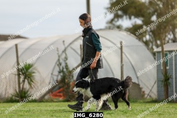 IMG_6280.jpg