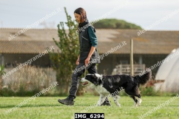 IMG_6294.jpg