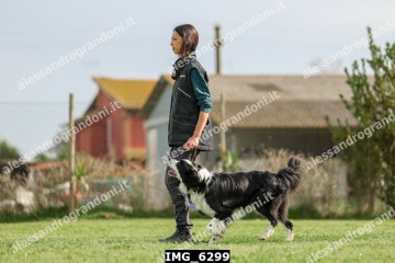 IMG_6299.jpg