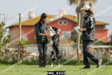 IMG_6332.jpg