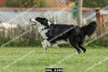 IMG_6360.jpg