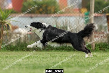 IMG_6362.jpg