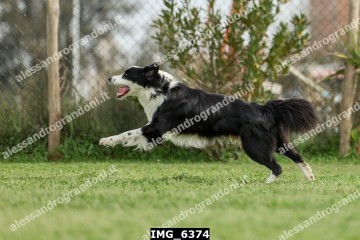 IMG_6374.jpg
