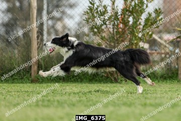IMG_6375.jpg