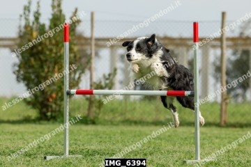 IMG_6394.jpg