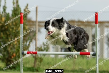 IMG_6396.jpg