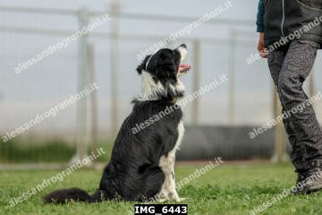 IMG_6443.jpg